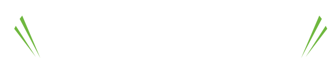 当店では様々なお車を取り扱っています。なんでもお任せ下さい